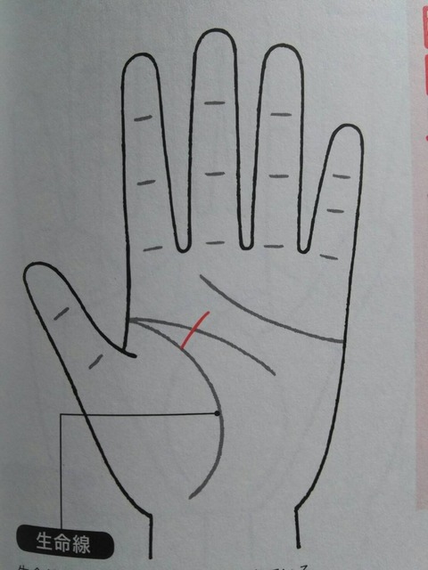 1539315926552.jpg