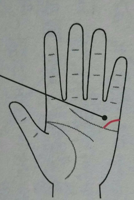 1548654835664.jpg