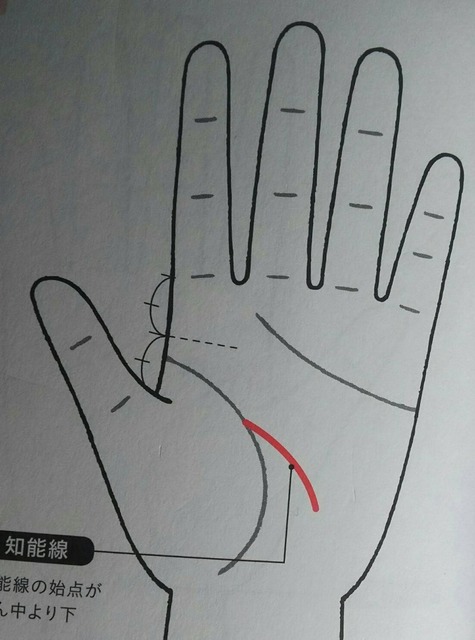 1549598225412.jpg
