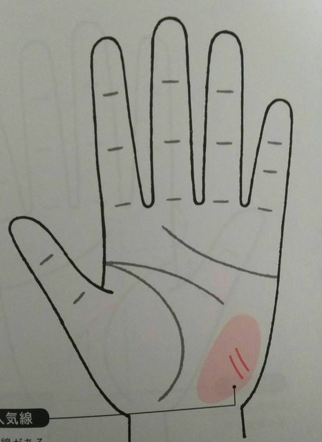 1549777470339.jpg
